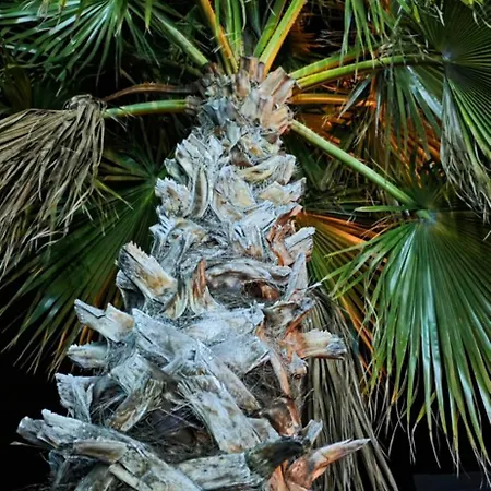 Apartmán A Z U R E Pool H O U S E