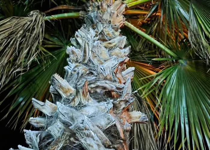 Апартаменты A Z U R E Pool H O U S E